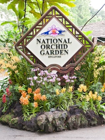 National Orchid Garden Tickets